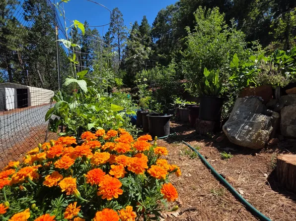 1447 Shining Moon Ln, Georgetown, CA 95634