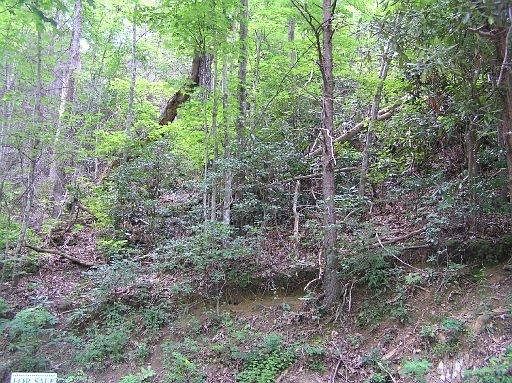 1st image of Silverbell Hts Ln