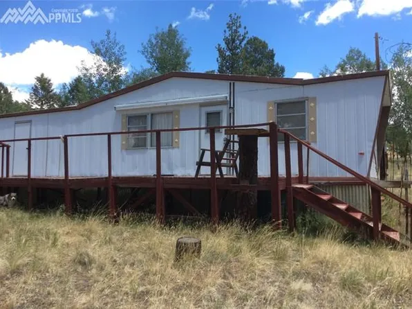 370 Crystal Peak Dr, Lake George, CO 80827