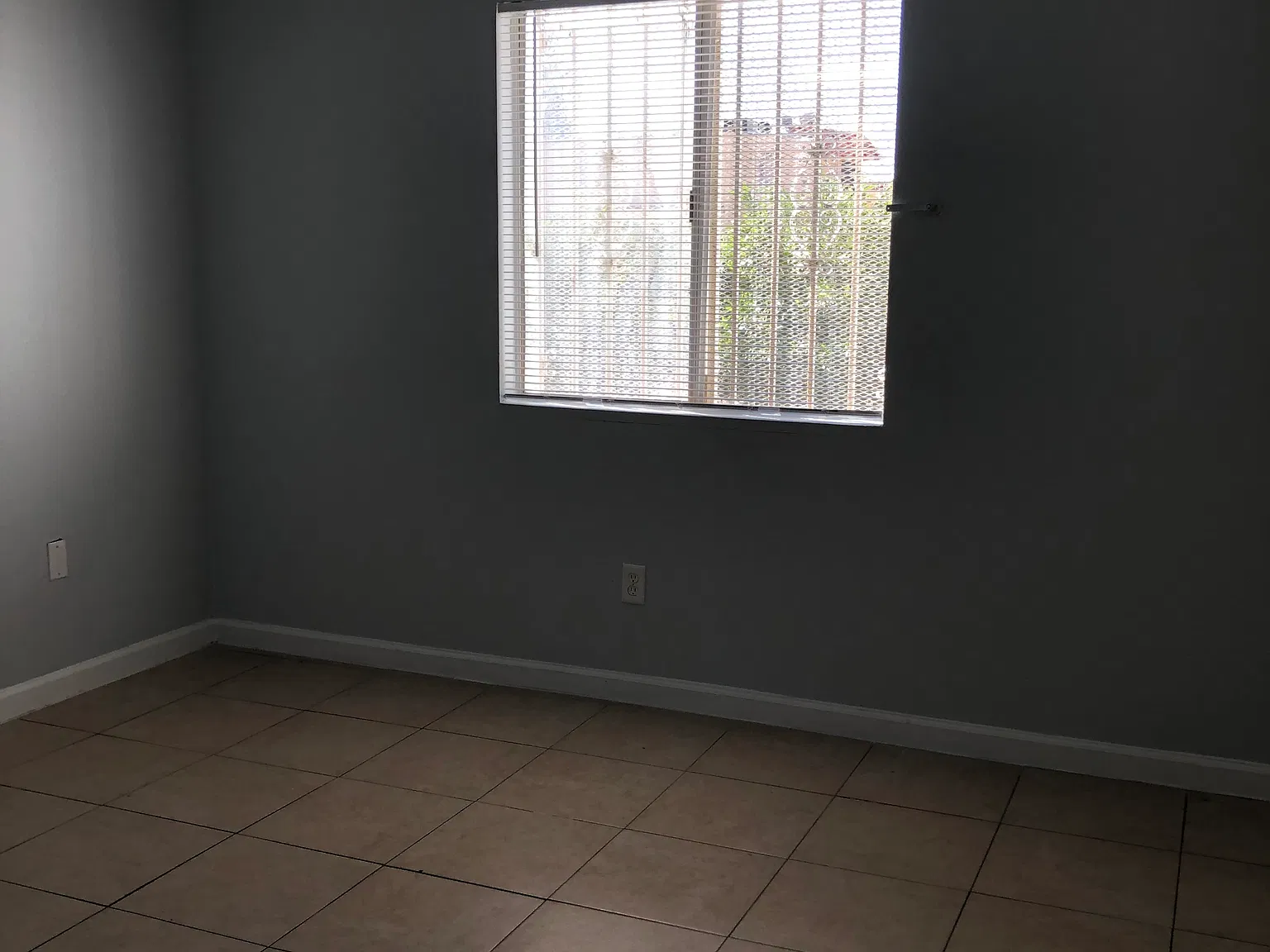 1367 Pattee Cir — Photo 4