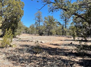 0 W Outlander Way #241, Seligman, AZ 86337