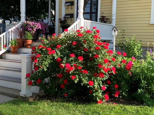 29 Hough St, Dover, NH 03820