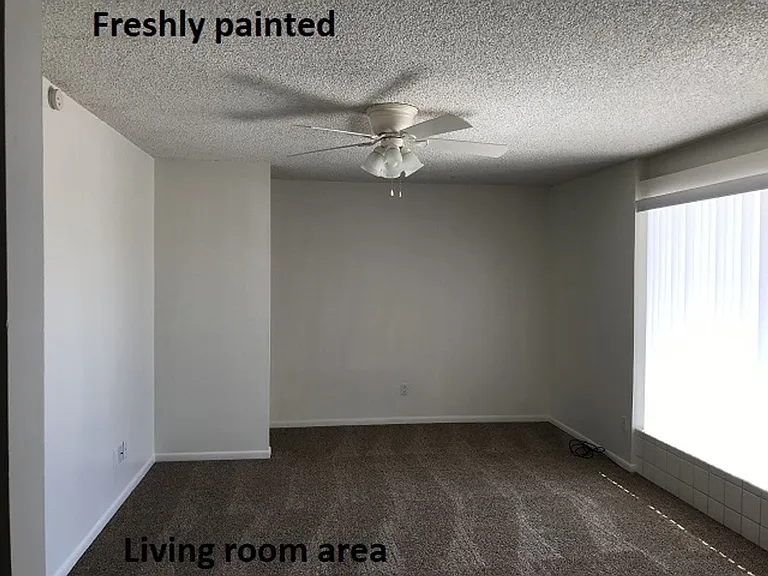 3124 Winterhaven Dr — Photo 7