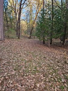 Creekside Dr, Meadow Vista, CA, 95722