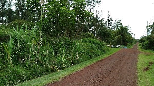 1st image of Coconut Dr