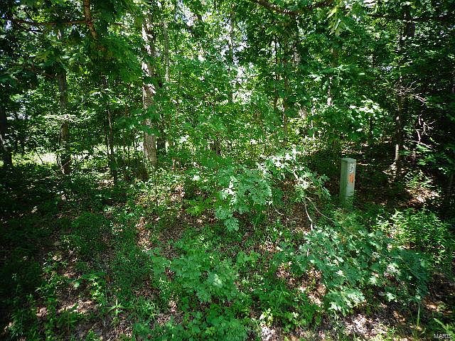 2nd image of 32066 Fairway Dr N