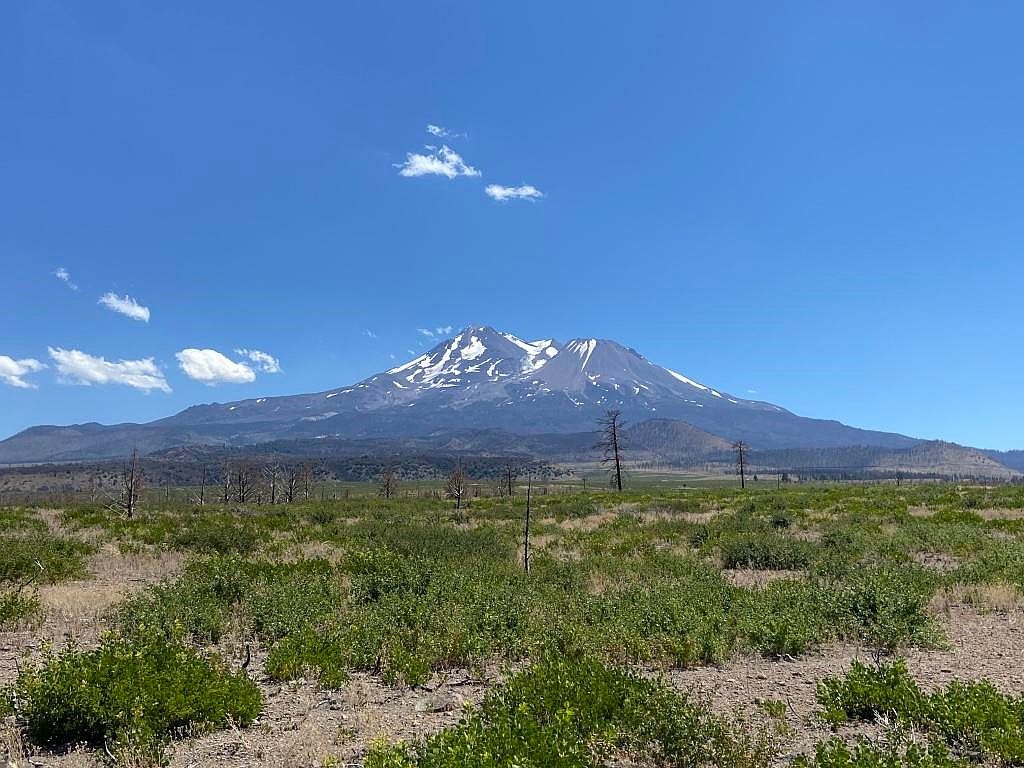 LOT 65 Juniper Valley Dr, Weed, CA 96094 Zillow