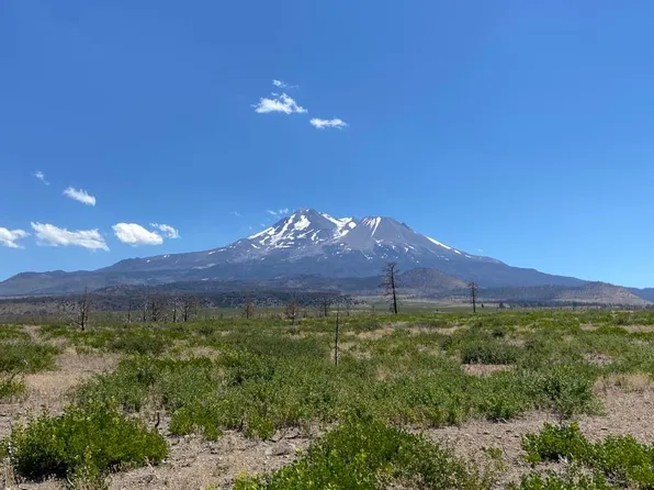 LOT 65 Juniper Valley Dr, Weed, CA 96094