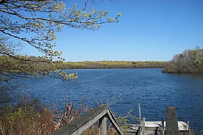 Cottage on the Pond — Photo 3