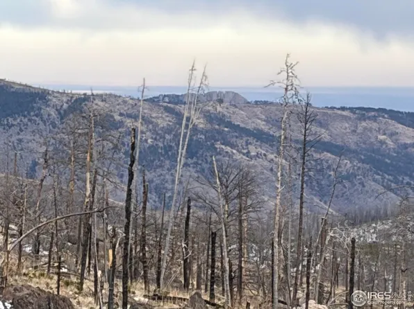 2025 Granite Rd, Bellvue, CO 80512