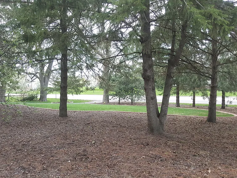 9001 Old Sauk Rd — Photo 24