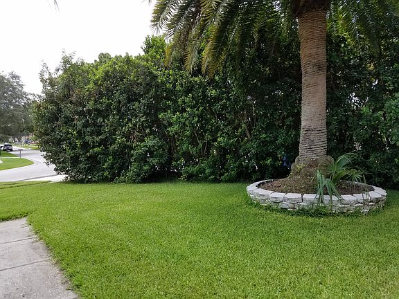 Front yard viewed from door.