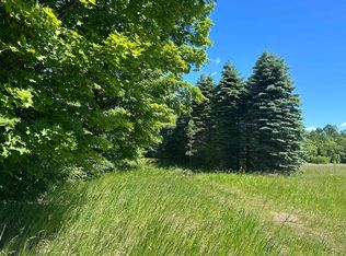 331 Kleehammer Club Dr NE #20, Kalkaska, MI