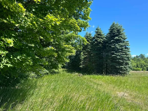 331 Kleehammer Club Dr NE #20, Kalkaska, MI 49646