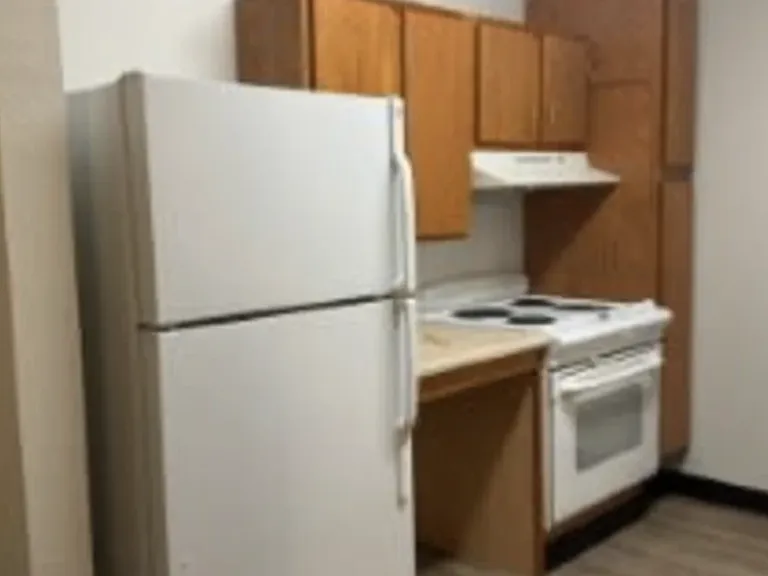 4321 Country Village Ln #4321 — Photo 11