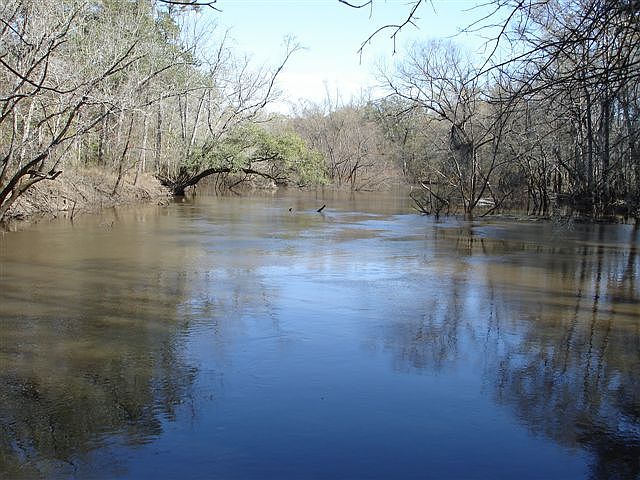 1st image of 842 Pine Bluff Trl