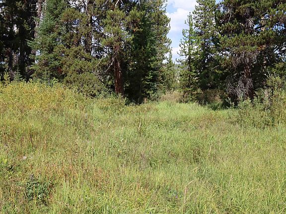 3rd image of L49 Secesh River Rd