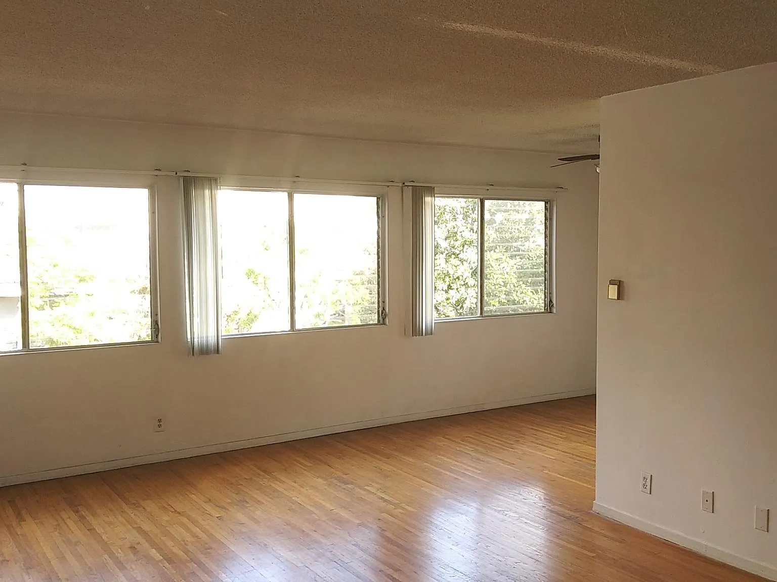 Living Room, lots of windows