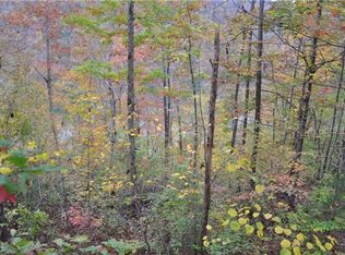 463 Aaron Webb Rd, Smithville, TN 37166