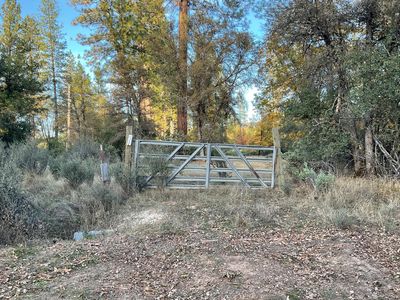 3729 Oleo Acre Rd, Mountain Ranch, CA, 95246