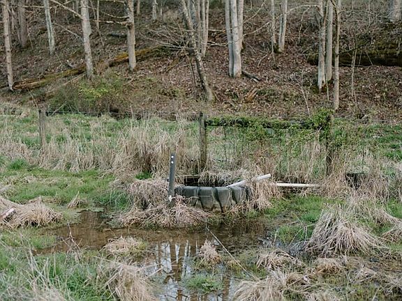3rd image of Romans Ridge Rd