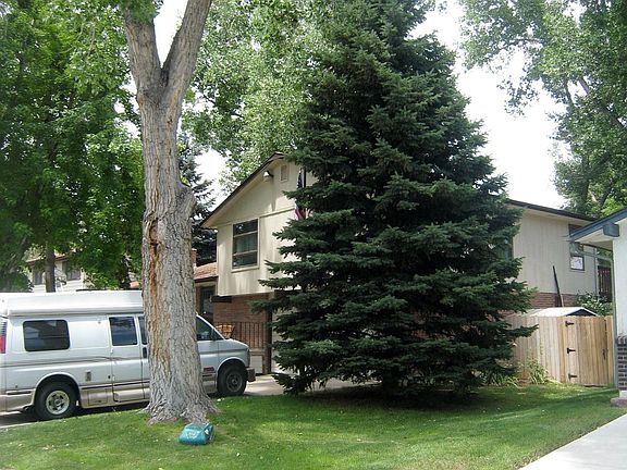 Huge Fir trees on front corners