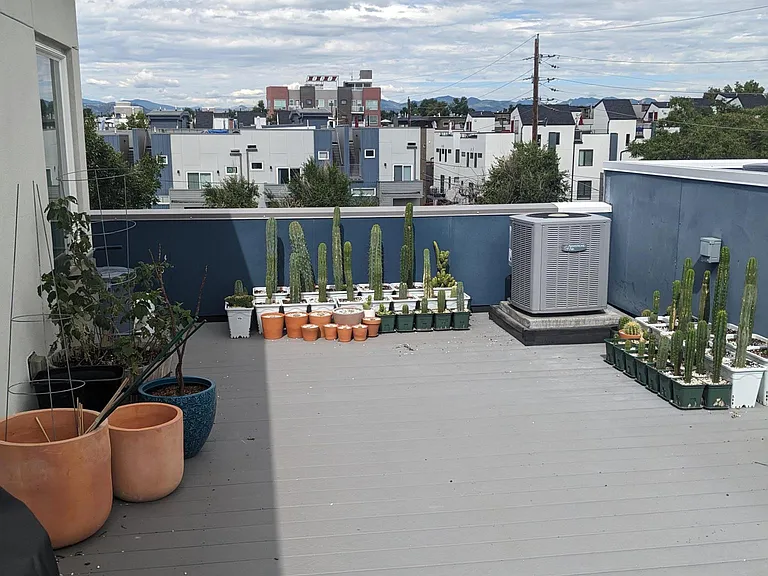 2743 W 25th Ave #6 — Photo 21