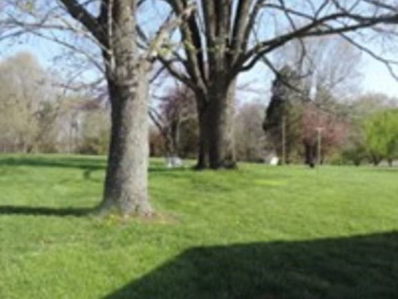 5th image of 78 Allen Ln