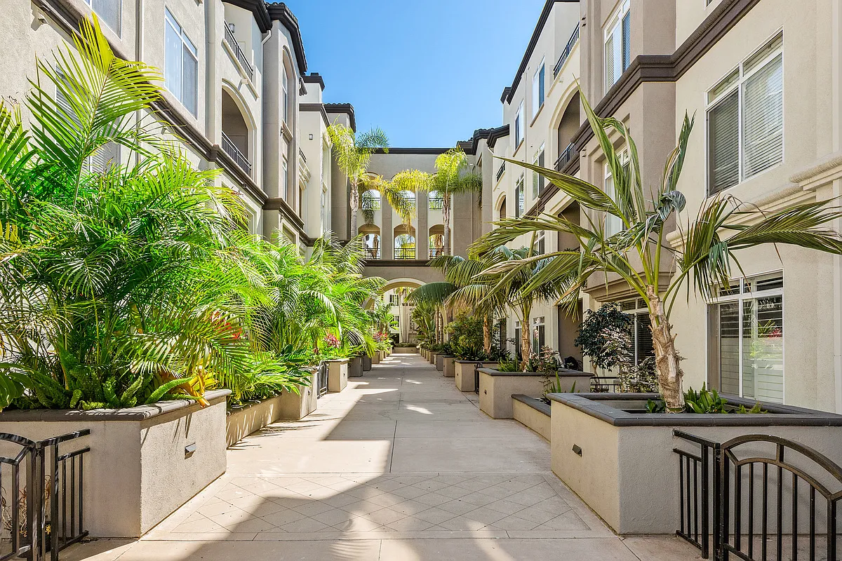 Executive Dr, La Jolla — Photo 3
