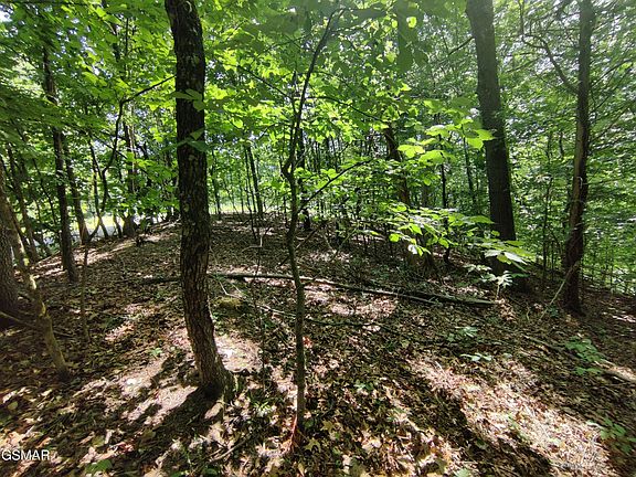 5th image of 3347 Mountain View Ln Lot 1100