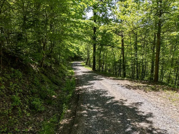 McCurdysville Rd, Rivesville, WV 26588