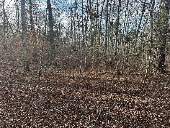 2nd image of 0 Arnold Thomas Rd