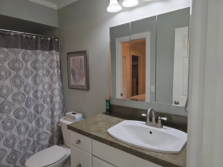 5 Black Cherry Dr — Photo 8