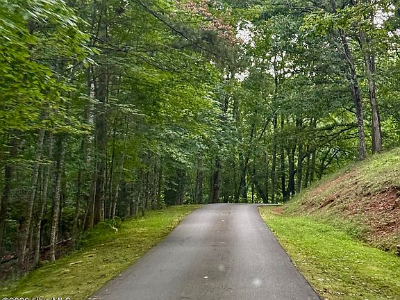 2nd image of Lot #46 Pine Cove Lane
