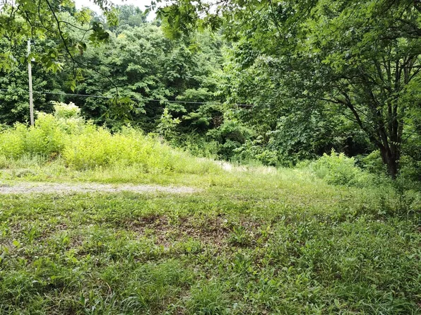 4418 Vinegar Valley Rd, Friendsville, TN 37737