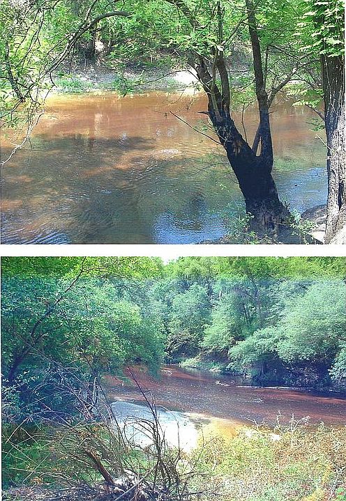 Alapaha River views from lot