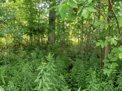 Na E Huron Rd, Au Gres, MI, 48703