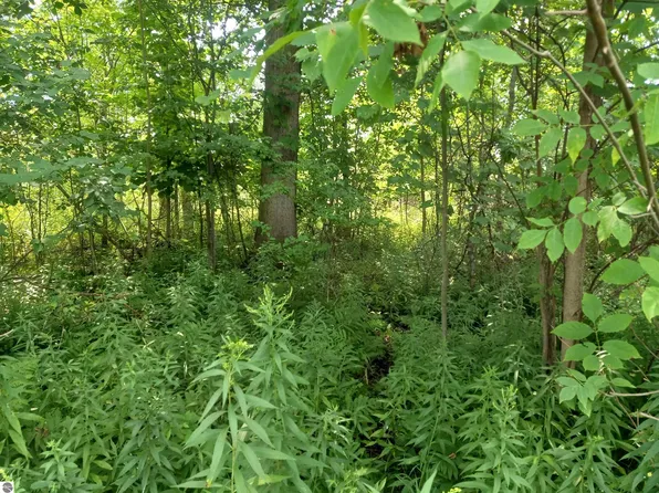 Na E Huron Rd, Au Gres, MI 48703