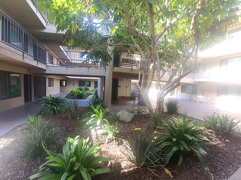 Georgia Regency Senior Apartments — Photo 11