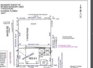 7 Hayes Rd, Oldsmar, FL 34677