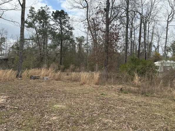 LOT 30 Dr Brown Rd, Deridder, LA 70634