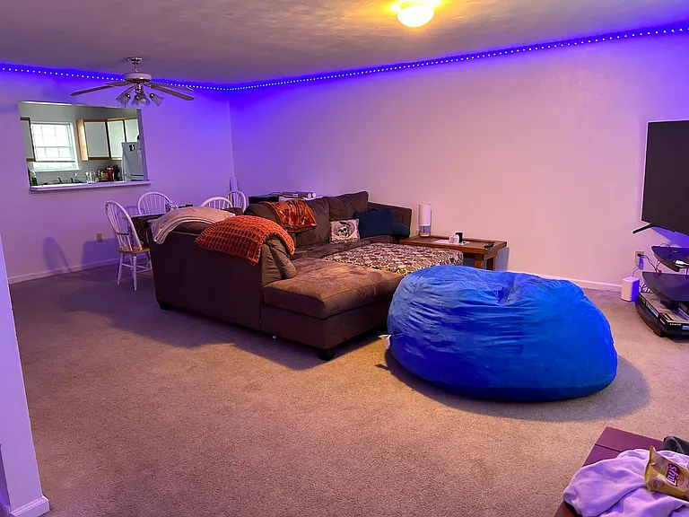 Large living room