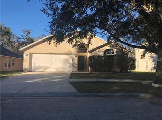 11802 Mango Groves Blvd, Seffner, FL 33584