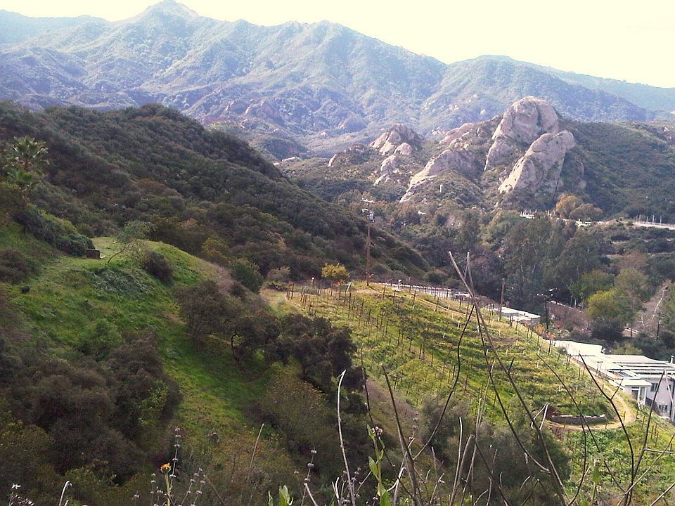 Red Rock view