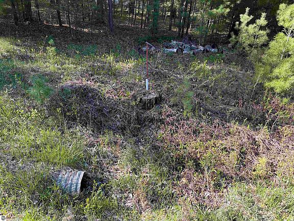 2nd image of 0 Miller Rd
