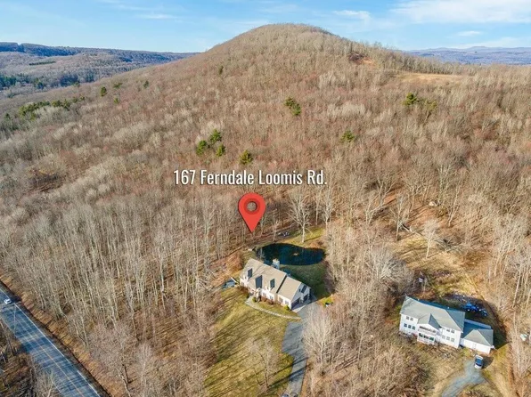 167 Ferndale Loomis Road, Liberty, NY 12754