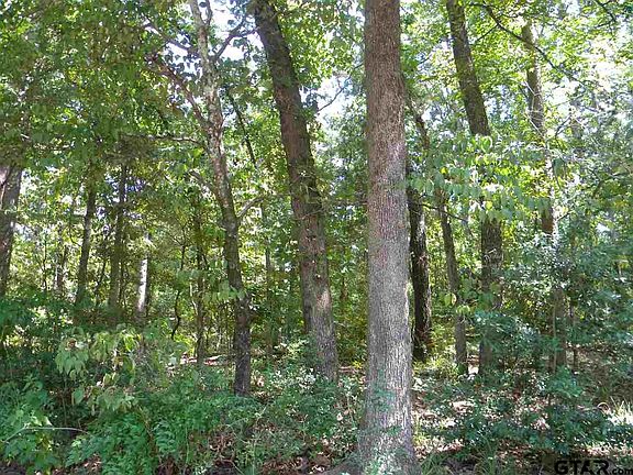 2nd image of 2-98 W Holly Trl