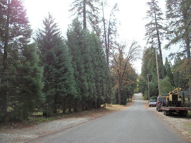 2nd image of 11352 Cedar Ridge Dr