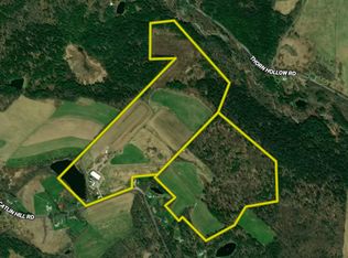 154 Catlin Hill Rd, Owego, NY 13827