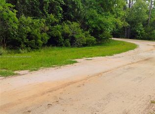 228 Atkins Rd, Georgetown, FL 32139